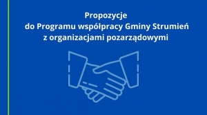 Obrazek domyslny serwisu strumien.pl